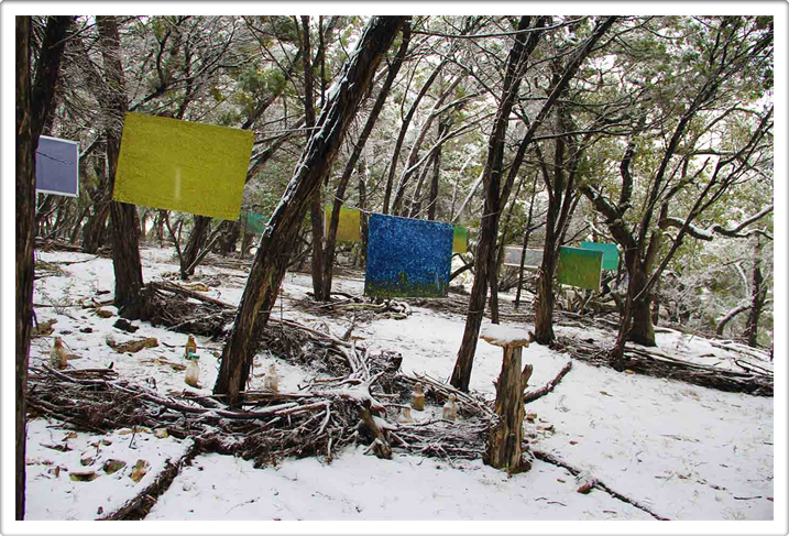 Land Art Gallery