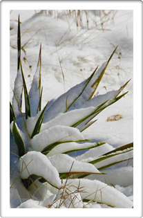 Land Art Photography
