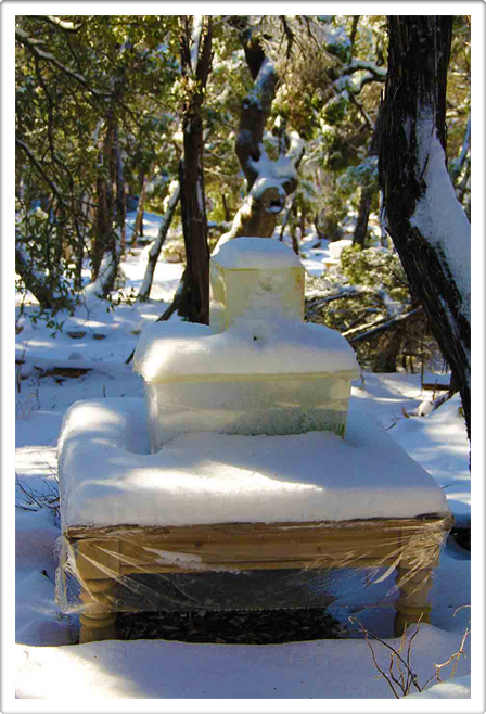 Land Art Photography