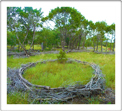 Land Art - Earth Art