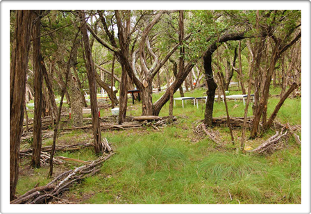 Land Art DAPACU