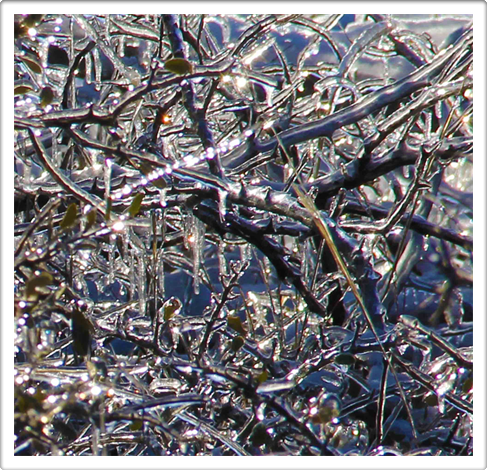 Land Art Photography Freeze"