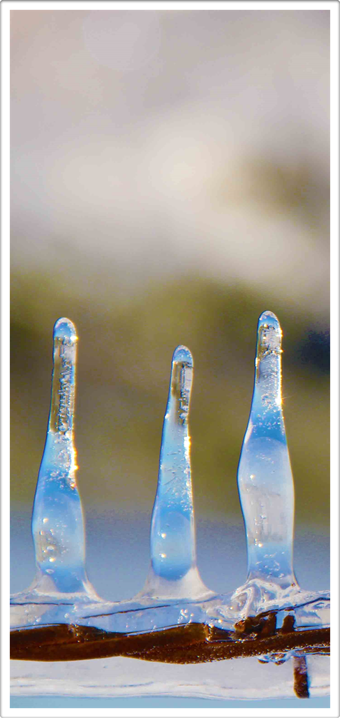 Earth Art Photography