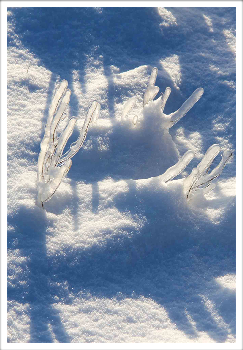 Land Art - Ice Collection