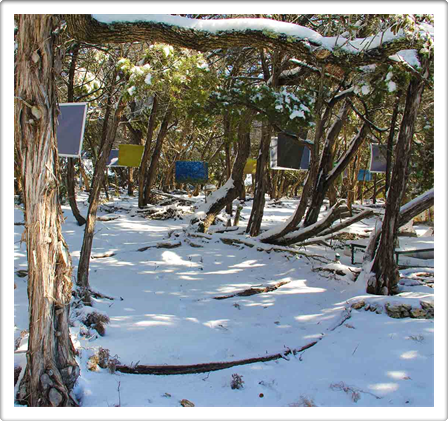 Land Art Covered in Snow!