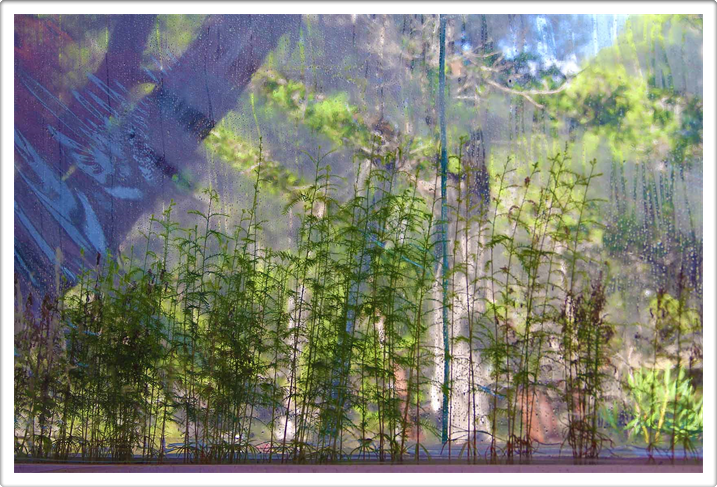 The Living Walls - Land Art